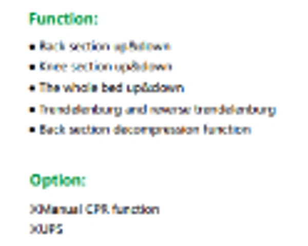 Vin Win 5 Function Electric ICU Bed
